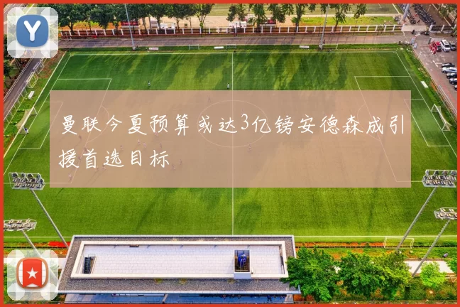 曼联今夏预算或达3亿镑安德森成引援首选目标