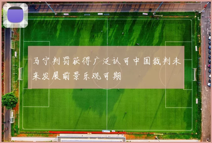 马宁判罚获得广泛认可中国裁判未来发展前景乐观可期